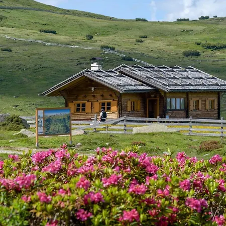 Berglandhotel Untertheimerhof 4* Villandro